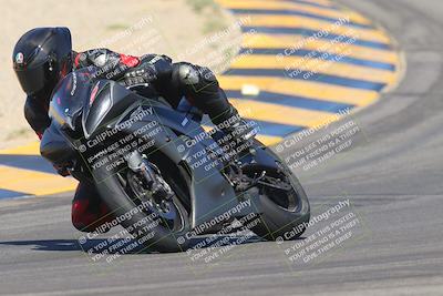 media/Sep-25-2023-Moto Forza (Mon) [[81ffa65e0a]]/A Group/Session 2 (Turns 9 and 10)/
